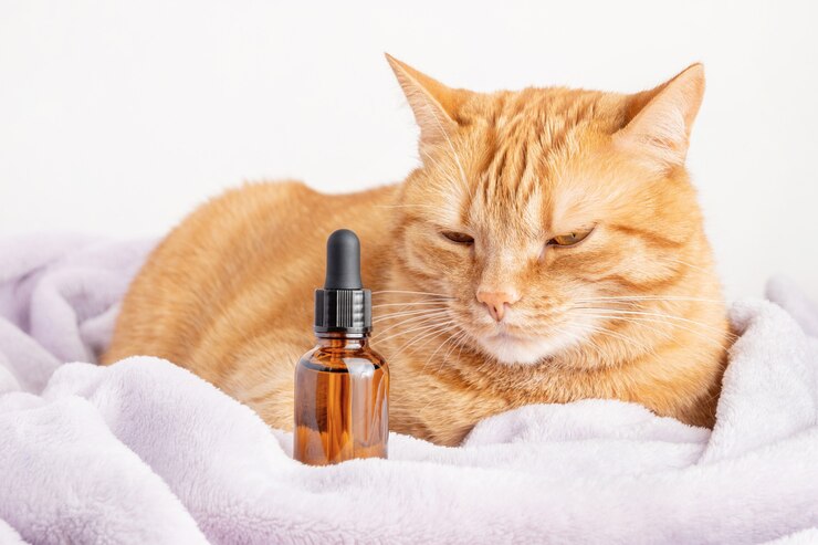 Is Patchouli Safe For Cats