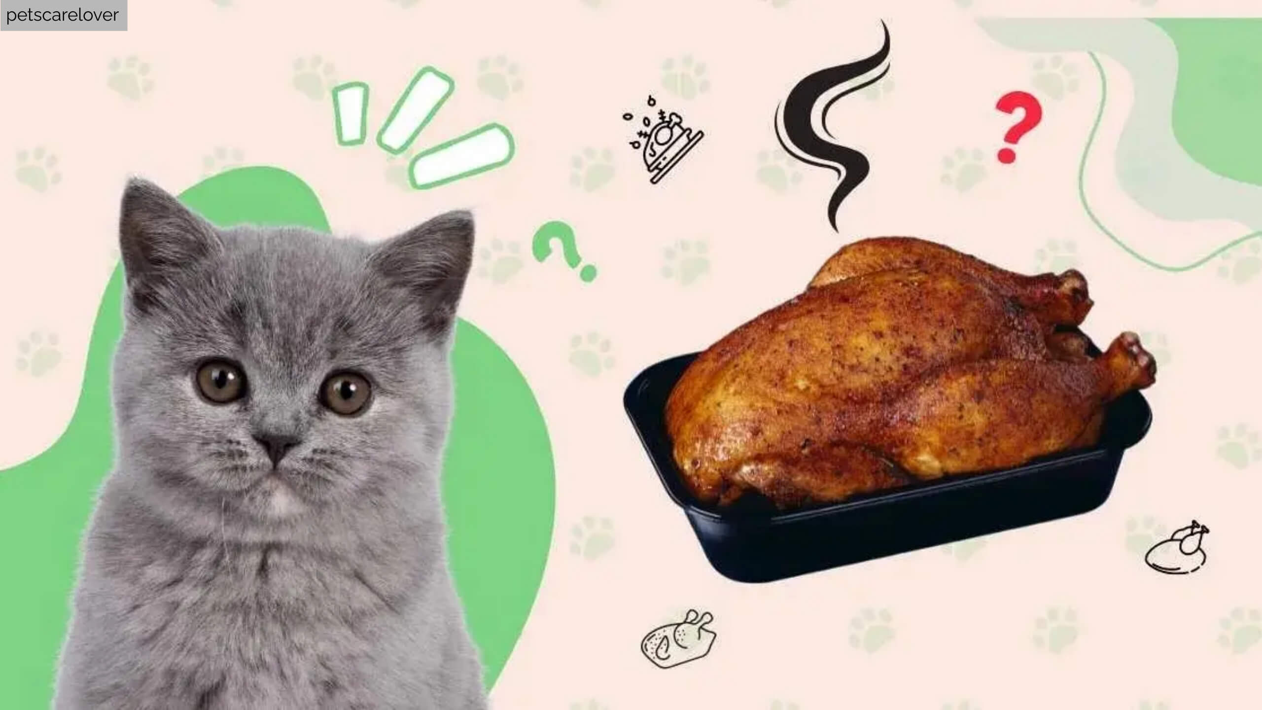 Can Cats Eat Rotisserie Chicken