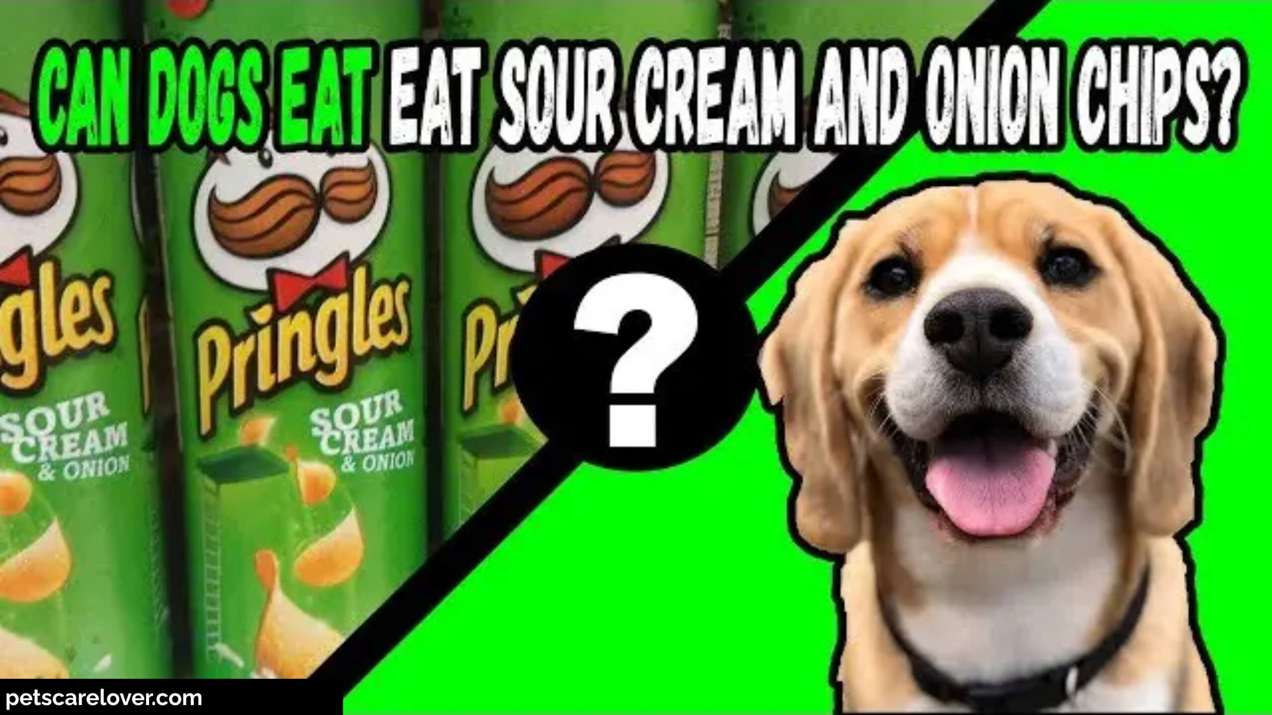 Can dogs eat sour cream and onion chips